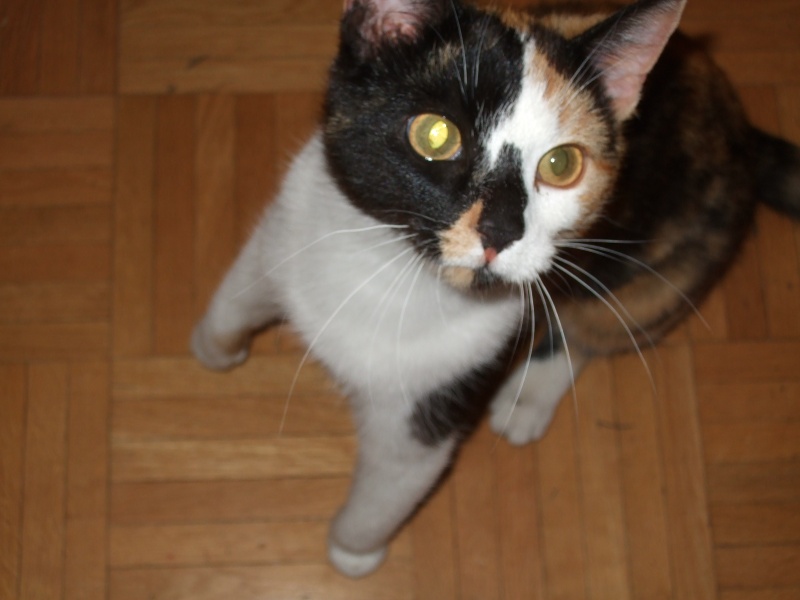 Ostern 2007 Orleshausen 131 